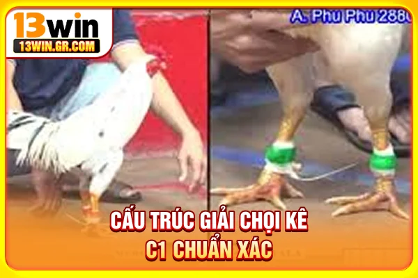 Cấu trúc giải chọi kê C1 chuẩn xác