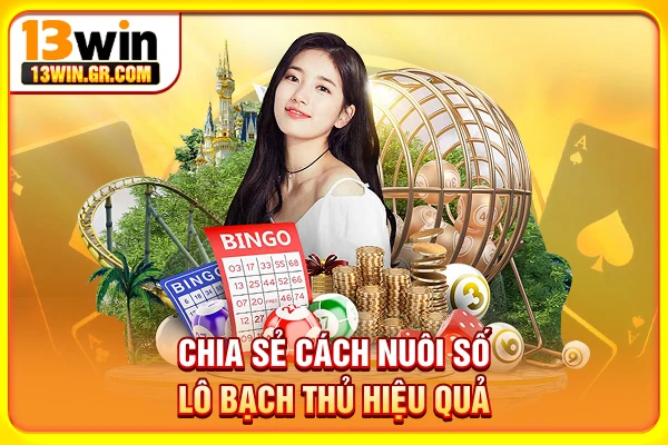 Chia sẻ cách nuôi số lô bạch thủ hiệu quả
