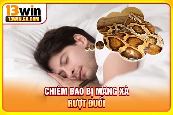 Mơ Thấy Trăn Có Ý Nghĩa Gì? Luận Giải Số May Mắn Phú Quý Chiêm bao bị mãng xà rượt đuổi