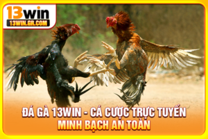 Đá gà 13WIN
