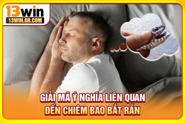 Mơ Bắt Rắn Đánh Số Gì? Giải Nghĩa Chi Tiết Từng Giấc Mơ Giải mã ý nghĩa liên quan đến chiêm bao bắt rắn