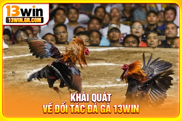 Khái quát về đối tác đá gà 13WIN
