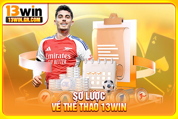 Thể Thao 13WIN - Sảnh Cá Cược Đa Dạng Bộ Môn Hấp Dẫn Sơ lược về thể thao 13WIN