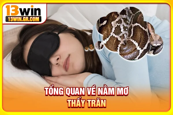 Mơ Thấy Trăn Có Ý Nghĩa Gì? Luận Giải Số May Mắn Phú Quý Tổng quan về nằm mơ thấy trăn