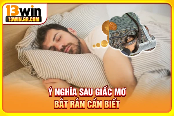 Mơ Bắt Rắn Đánh Số Gì? Giải Nghĩa Chi Tiết Từng Giấc Mơ Ý nghĩa sau giấc mơ bắt rắn cần biết